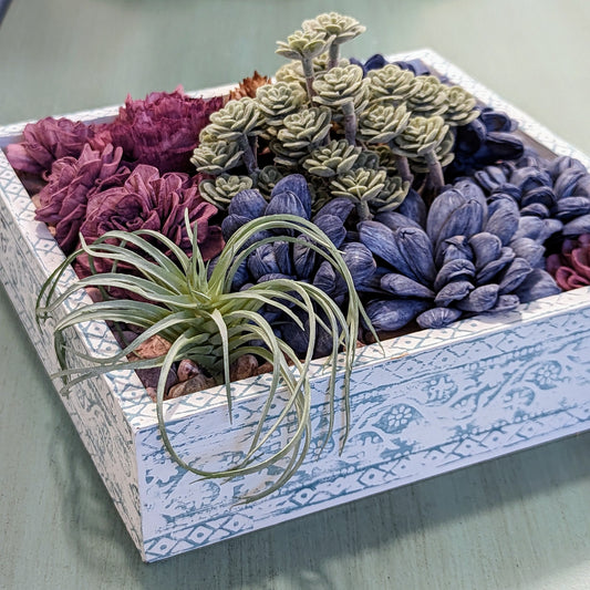 Boho Succulent Box: