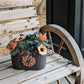 Sola Planter: Wild and Carefree