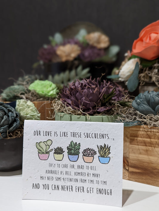 SowSweet Greeting Card: "Our Love is Like These Succulents"