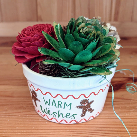 Sola "Succulents": Warm Wishes